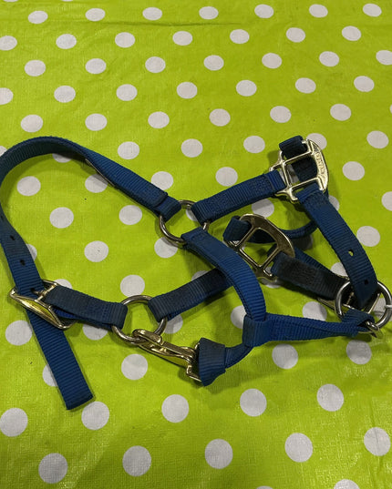 Halter Weaver Nylon blue Suckling