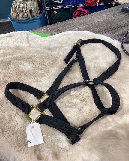 Halter Nylon Black