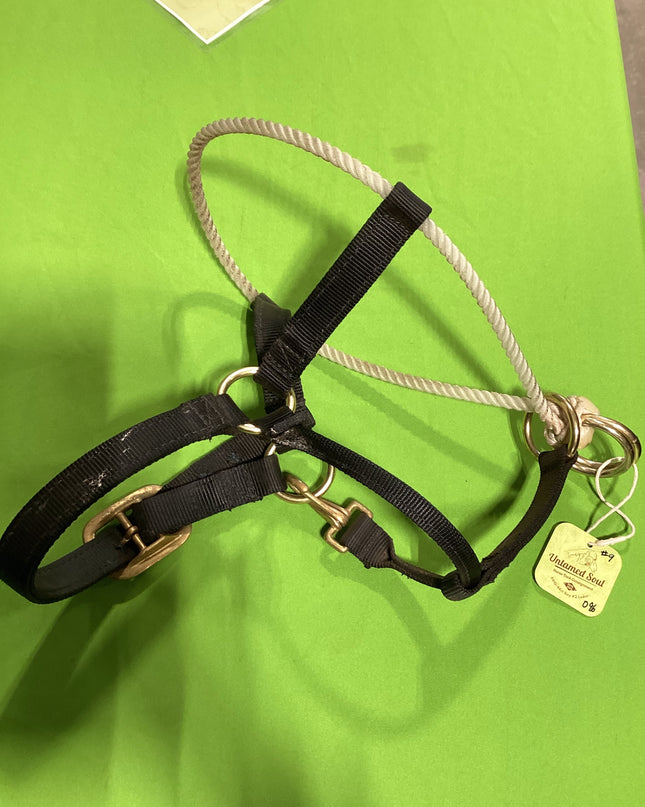 Hackamore Halter Nylon with Rope Black