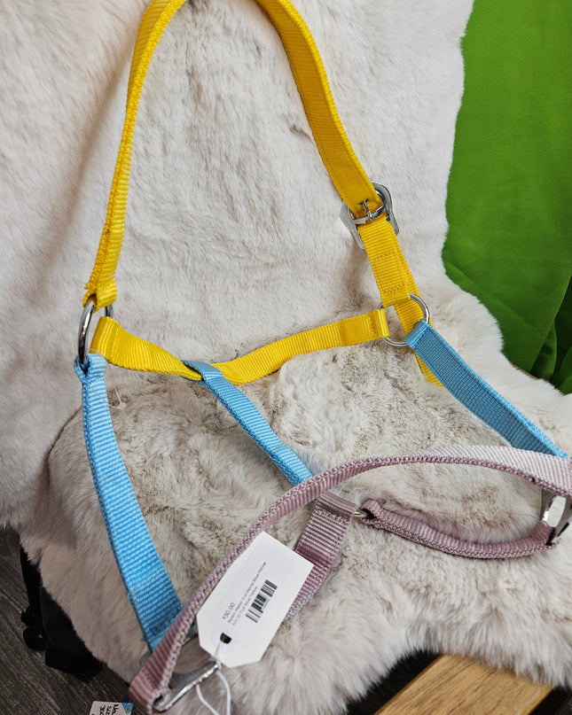 Halter Nylon Full Horse Blue/Yellow