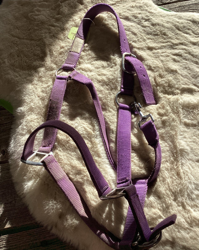 Halter Nylon Purple Guess Average Size