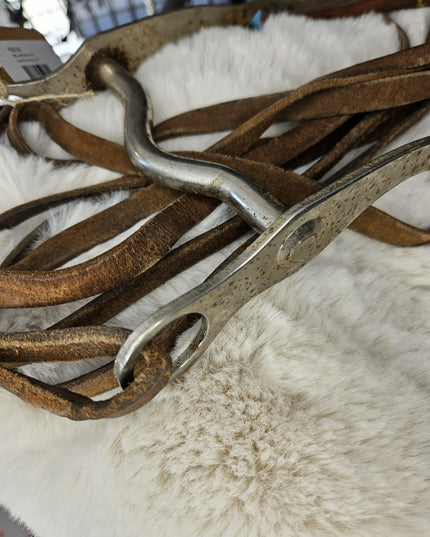 Bit and Reins #2