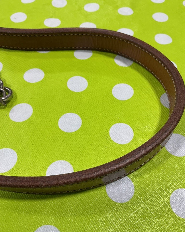 Lead Line with Chain Leather Brown
