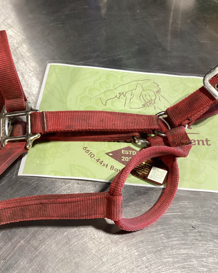 Halter Nylon  Red