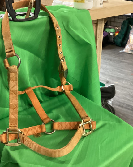 Halter Nylon Faded Orange