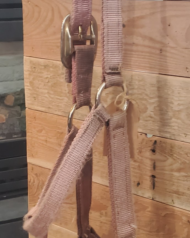 Halter Small Pink