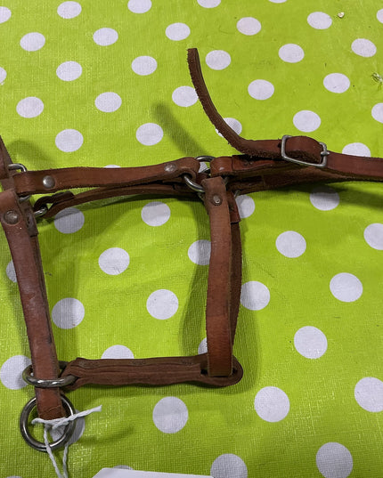 Halter Leather Yearling