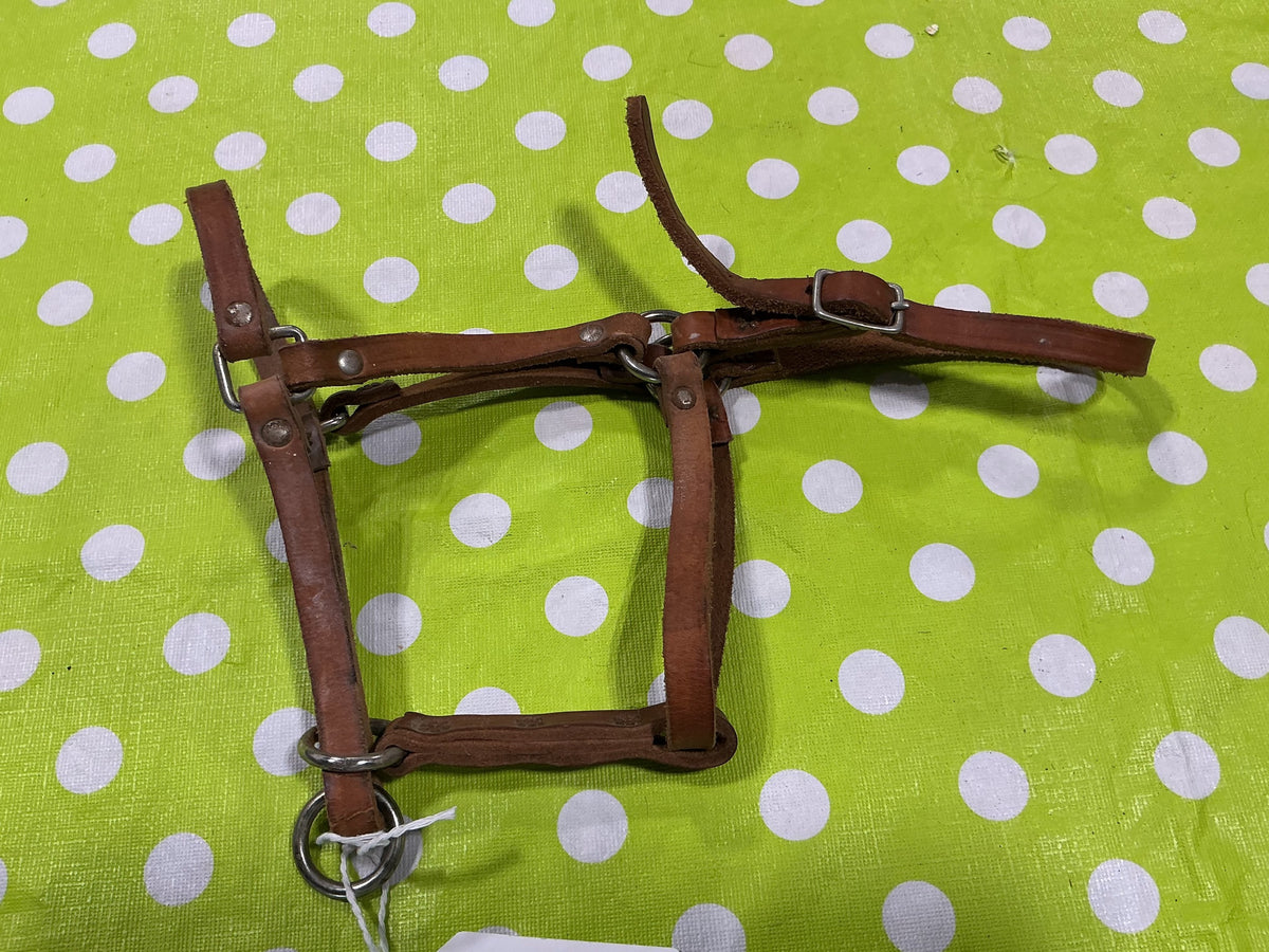 Halter – Leather, Yearling (A) | Used