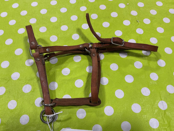 Halter – Leather, Yearling (A) | Used