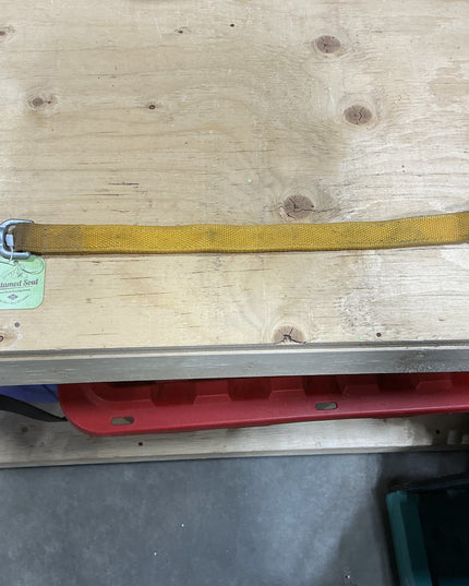 Trailer Tie down