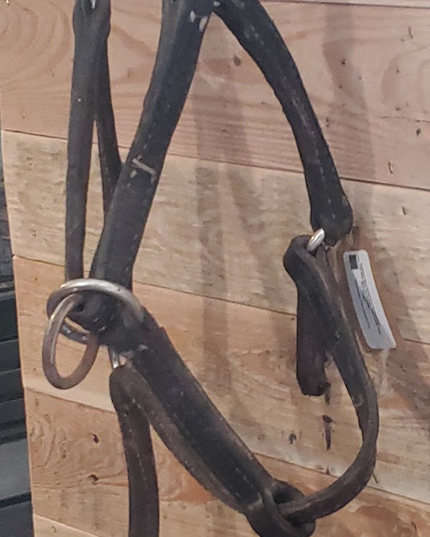 Halter Leather  Youth