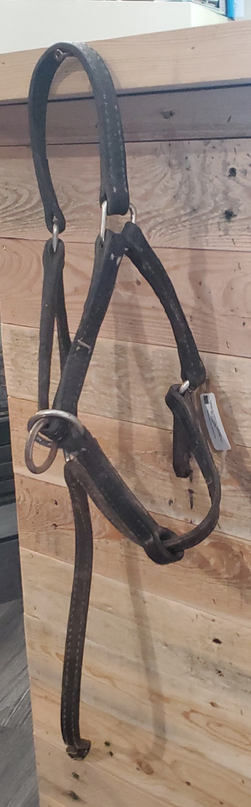 Halter Leather  Youth