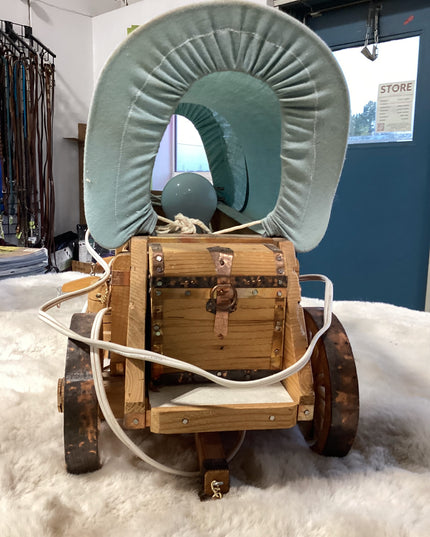 Wagon Light