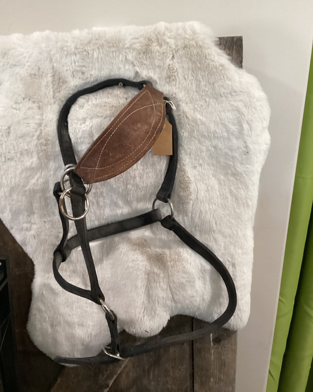 Halter Nylon with Leather Nose Piece Black