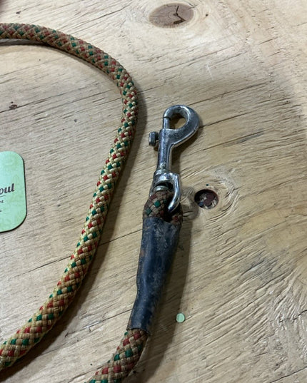 Lead Line Yellow short