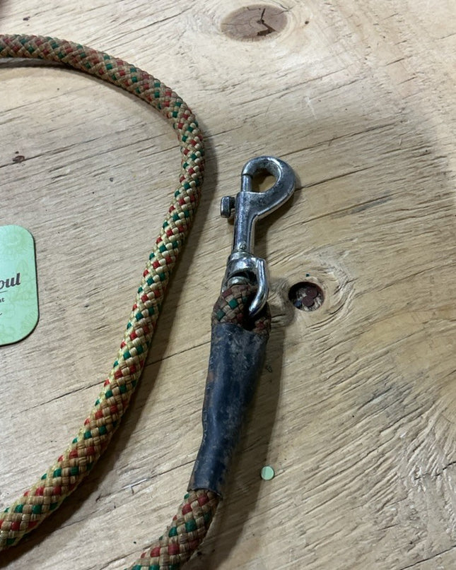 Lead Line Yellow short