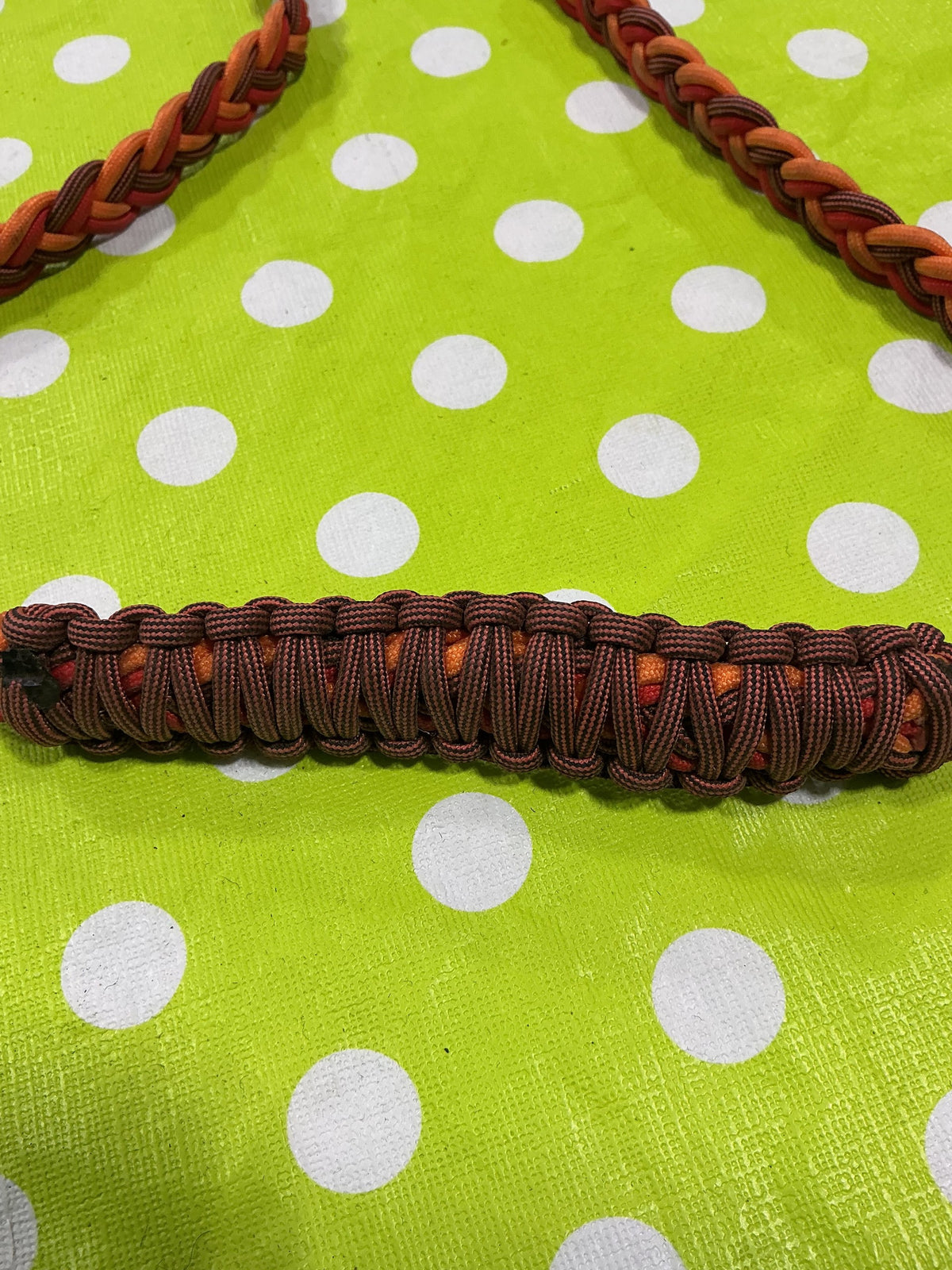 Neck Rein – Bridleless | Used