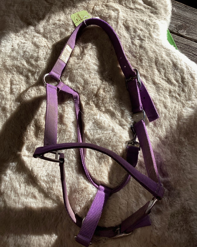 Halter Nylon Purple Guess Average Size