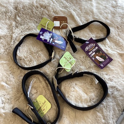 Collection image for: Dog Items