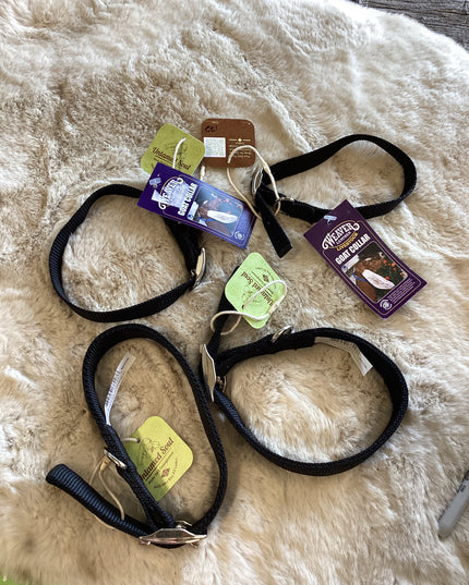Dog/Goat Collars Nylon