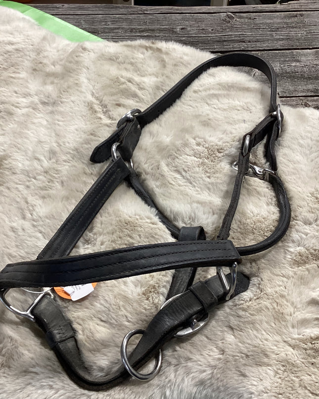 Halter Leather  Larger Size