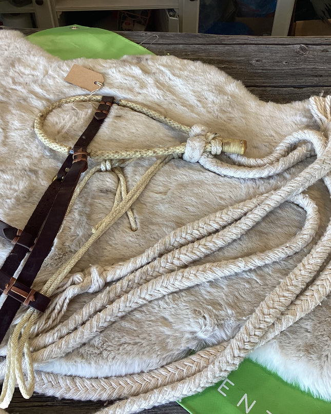 Hackamore with Bridle & Reins