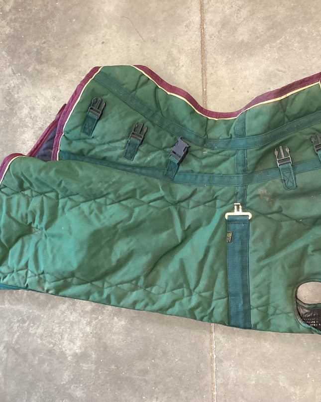 Neck Only Winter  Green