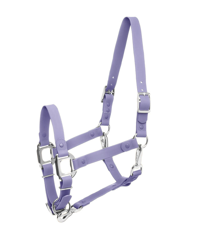 Halter Cob Purple I Cavalos Collection