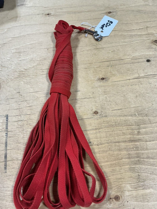Dog Leash – Red, 50 ft | Used