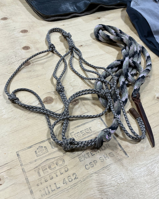 Rope Halter and Lead