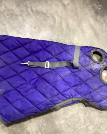 Neck Only Winter Over eyes and ears Blue