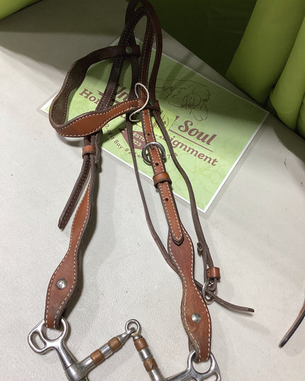 Western Bridle with Bit