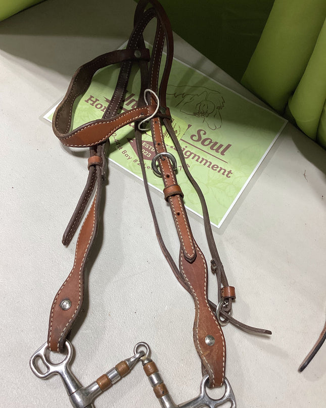 Western Bridle with Bit