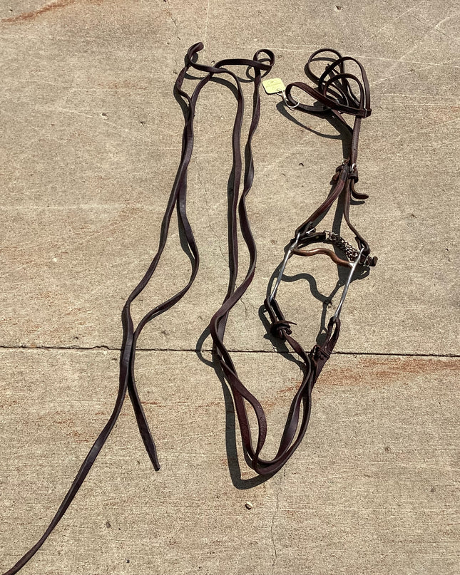 Western Headstall  Bit Reins
