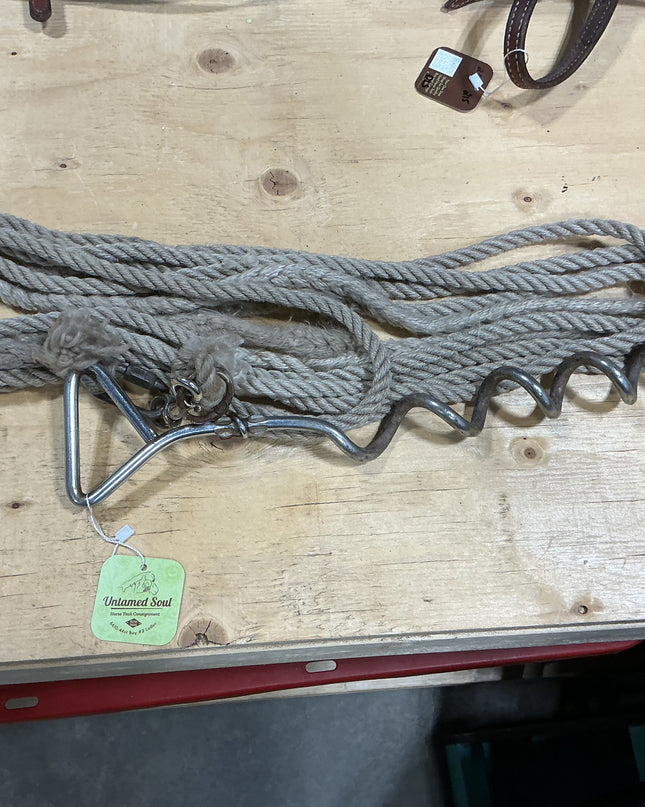 Tie Out Stake w/ rope