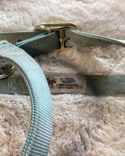 Halter Nylon Average Size