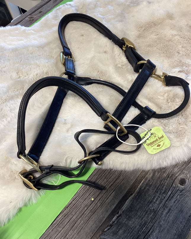 Halter leather Warmblood/Lg