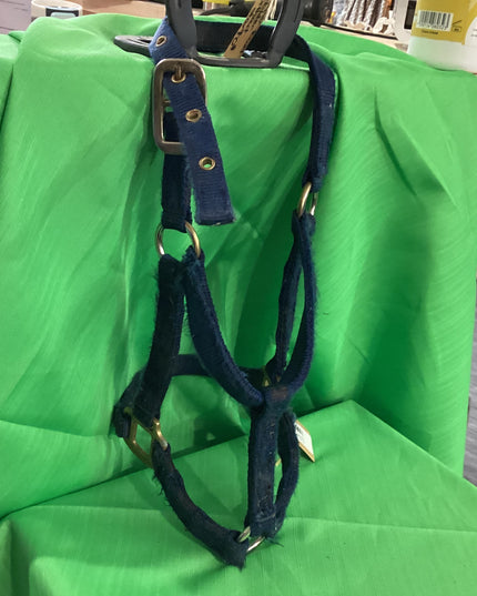 Halter Nylon Blue