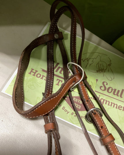 Western Bridle with Bit