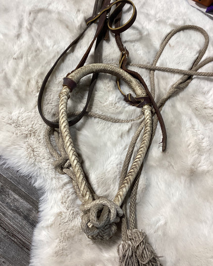 Bozel & Rope Reins