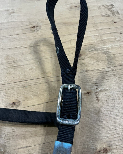 Halter Arabian Style Black Nylon