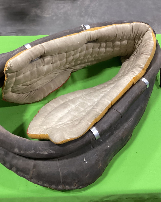 Draft Collars Older with Blankets