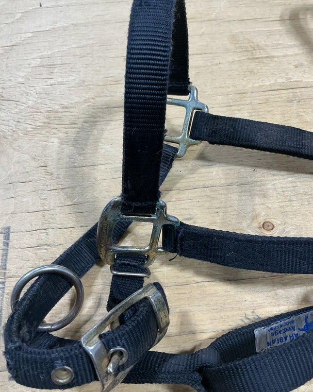 Halter Arabian Style Black Nylon