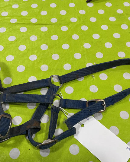 Halter Nylon Blue Pony Size