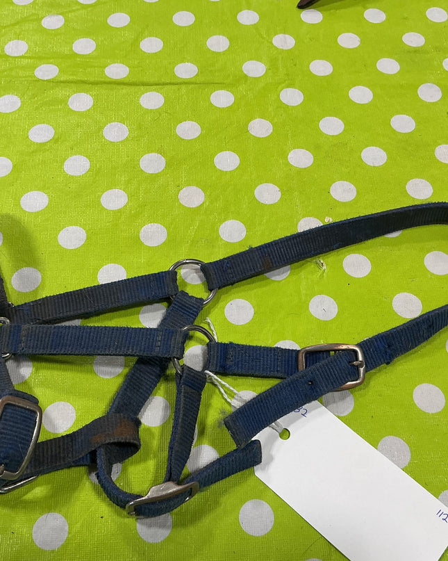 Halter Nylon Blue Pony Size