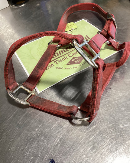 Halter Nylon  Red