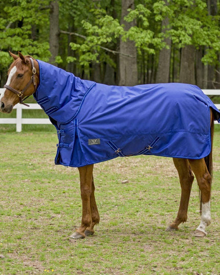 Winter Blanket Detachable Neck Blanket: Purple, 75