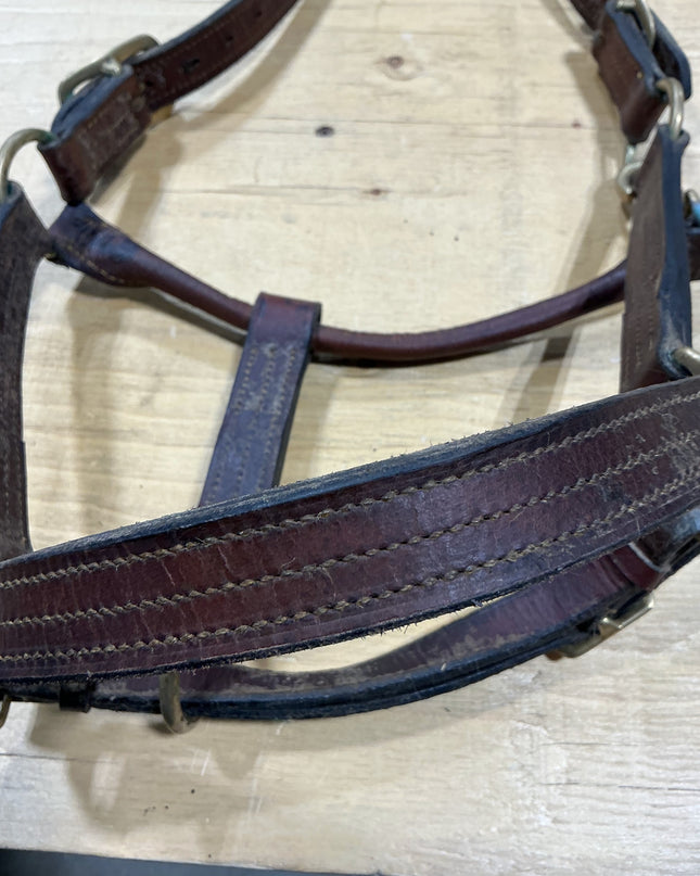 Halter Leather Brown Horse Size