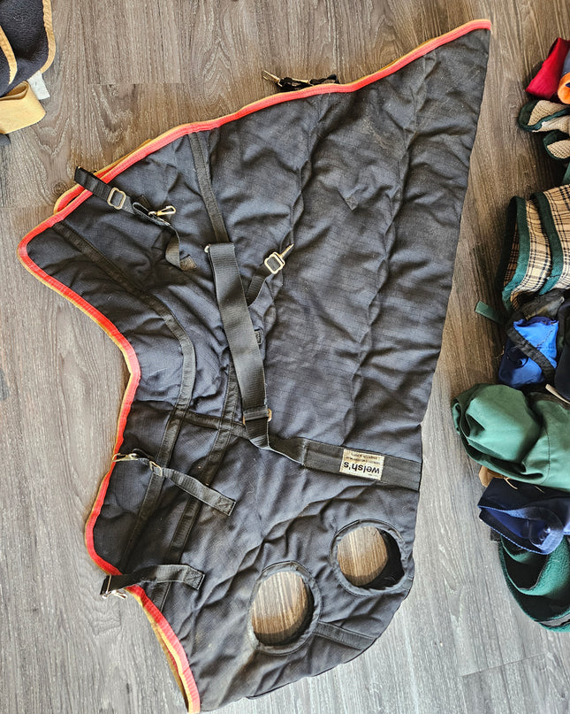Neck Only Winter Large