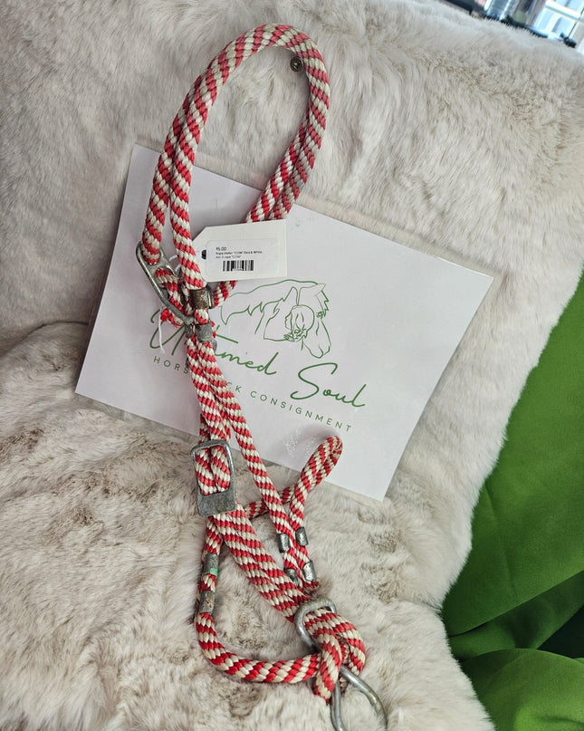 Rope Halter *COW* Red & White